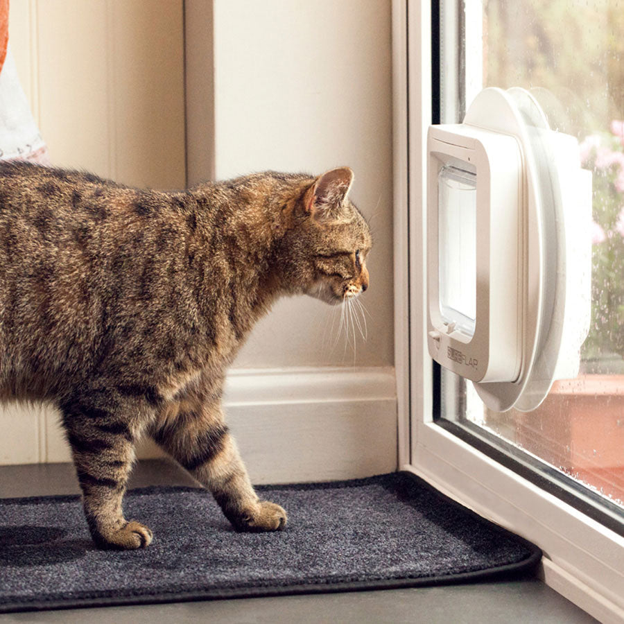 SureFlap Secure Microchip Cat Door – White Small