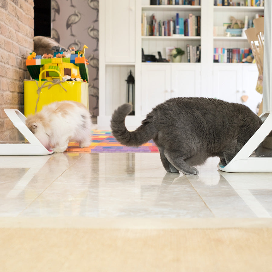SureFeed Microchip Pet Feeder for Cats & Small Dogs – White